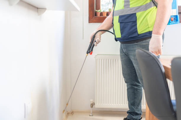 Flea Control Services in Birch Bay, WA